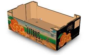 CÍTRICOS <strong>10 KG</strong>